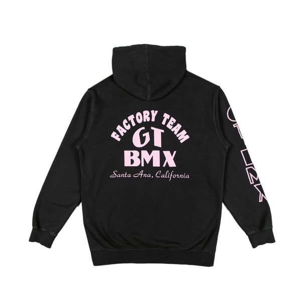 GT Factory Team Hoodie - Shale